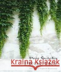 Proutky Petr Švácha 9788090857704 Brána do Brd - książka