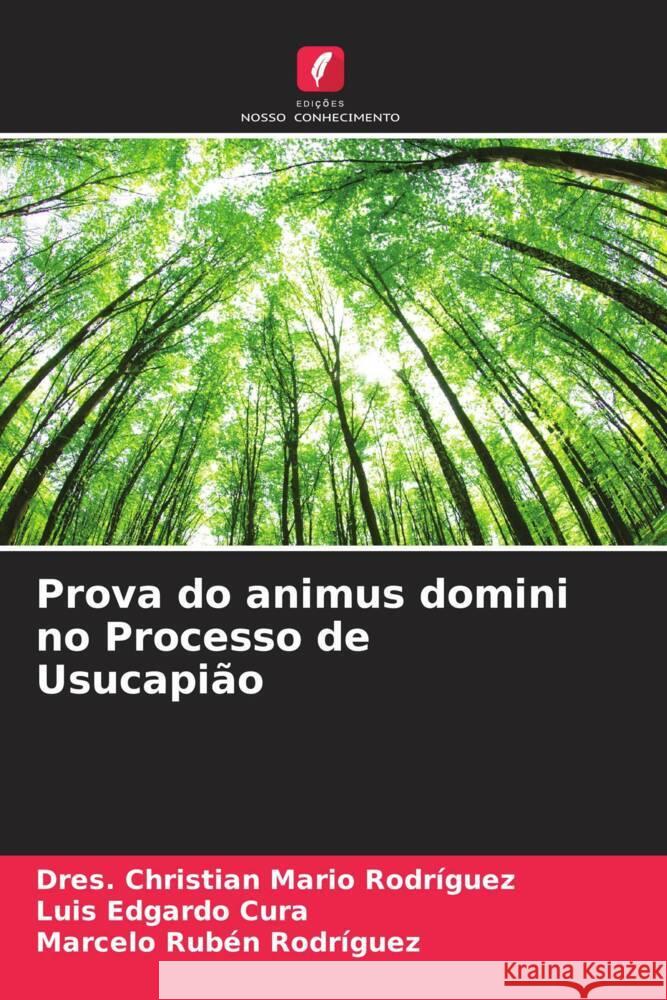 Prova do animus domini no Processo de Usucapi?o Dres Christian Mario Rodr?guez Luis Edgardo Cura Marcelo Rub?n Rodr?guez 9786206928713 Edicoes Nosso Conhecimento - książka