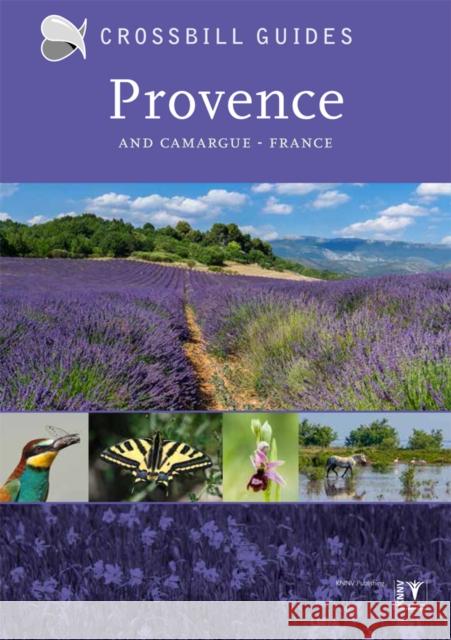 Provence: And Camargue, France Albert Vliegenthart 9789491648168 Crossbill Guides Foundation - książka