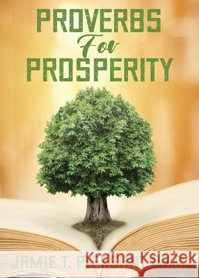 Proverbs For Prosperity Jamie T Pleasant 9781940698182 Biblion Publishing - książka