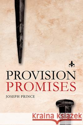 Provision Promises Joseph Prince 9781636410340 Charisma House - książka