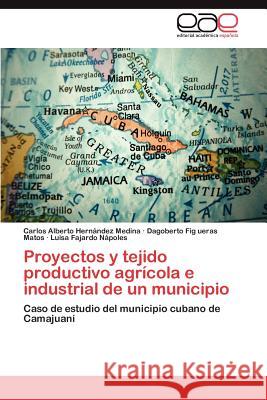 Proyectos y tejido productivo agrícola e industrial de un municipio Hernández Medina Carlos Alberto 9783847366355 Editorial Acad Mica Espa Ola - książka