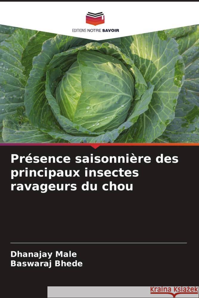 Présence saisonnière des principaux insectes ravageurs du chou Male, Dhanajay, Bhede, Baswaraj 9786204517117 Editions Notre Savoir - książka