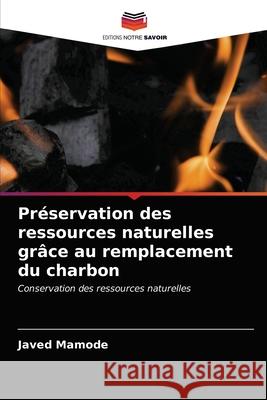 Préservation des ressources naturelles grâce au remplacement du charbon Javed Mamode 9786203595451 Editions Notre Savoir - książka