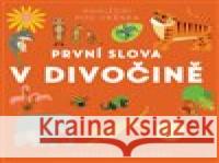 První slova V divočině Fiona Powers 9788025629611 Svojtka & Co. - książka