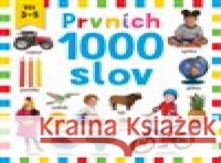Prvních 1000 slov Will Putnam 9788025629390 Svojtka & Co. - książka