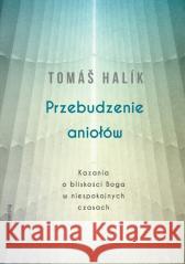 Przebudzenie aniołów. Kazania o bliskości Boga... Tomas Halik 9788327731333 WAM - książka