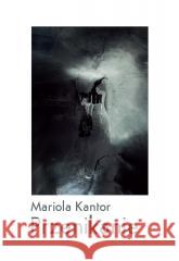 Przenikanie Mariola Kantor 9788368273250 Anagram - książka