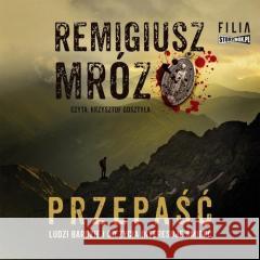 Przepaść audiobook Remigiusz Mróz 9788383572208 Storybox - książka