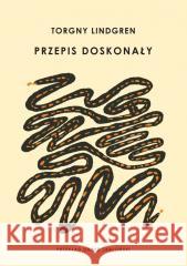 Przepis doskonały Torgny Lindgren 9788367515894 ArtRage - książka