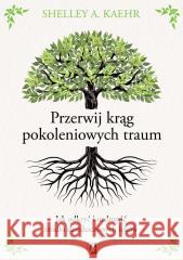 Przerwij krąg pokoleniowych traum Shelley A. Kaehr 9788383717012 Kobiece - książka