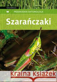 Przewodnik entomologa. Szarańczaki Bellmann Heiko 9788370737054 Multico - książka