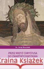 Przez krzyż Chrystusa do zmartwychwstania Jerzy Musiałek 9788375195941 Wydawnictwo Księży Sercanów - książka