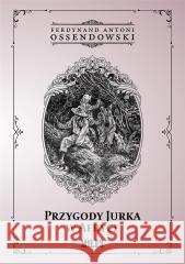 Przygody Jurka w Afryce Ferdynand Antoni Ossendowski 9788395845901 Miles - książka