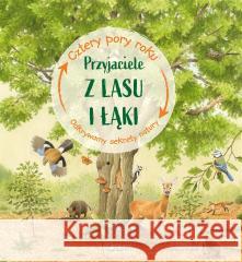 Przyjaciele z lasu i łąki Ilka Sokolowski, Steffen Walentowitz, Magdalena J 9788381447874 Jedność - książka