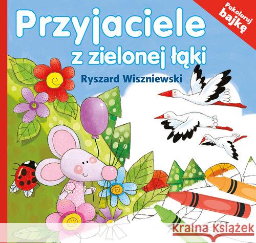 Przyjaciele z zielonej łąki Wiszniewski Ryszard 9788379156610 Skrzat - książka