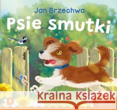 Psie smutki Jan Brzechwa 9788382073478 Skrzat - książka