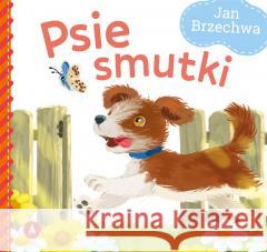 Psie smutki Jan Brzechwa 9788382074017 Skrzat - książka