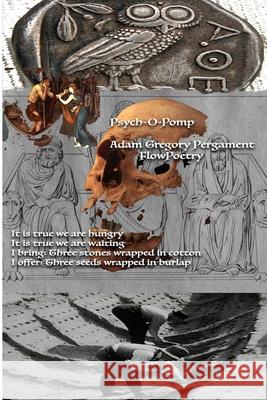 Psych-O-Pomp Flowpoetry 9781716636325 LIGHTNING SOURCE UK LTD - książka