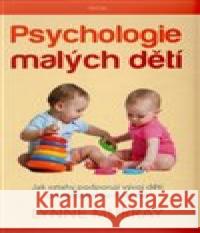 Psychologie malých dětí Lynne Murray 9788075530110 Triton - książka