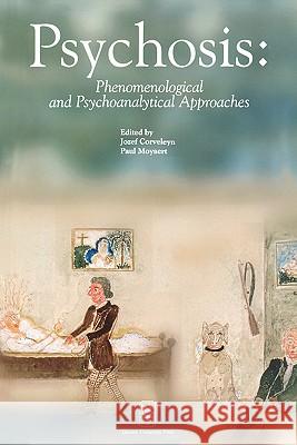 Psychosis: Phenomenological and Psychoanalytical Approaches Jozef Corveleyn Paul Moyaert 9789058672797 Leuven University Press - książka