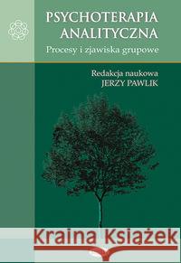 Psychoterapia analityczna. Procesy i zjawiska  9788385713807 Eneteia - książka