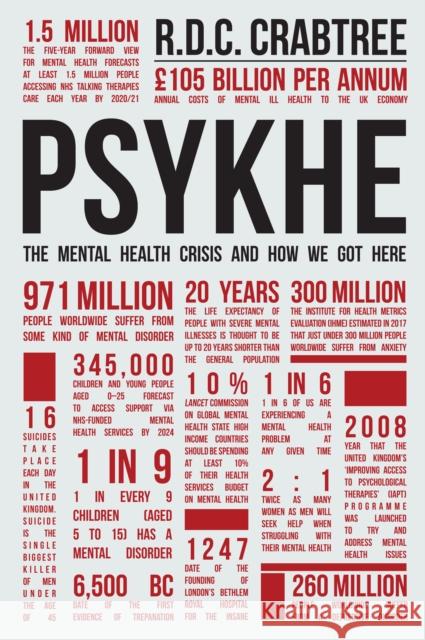 Psykhe: The Mental Health Crisis and How We Got Here Richard Carlton Crabtree, Sir Norman Lamb 9781398102712 Amberley Publishing - książka