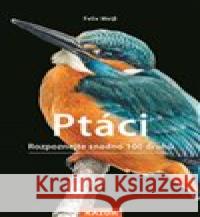 Ptáci Paschalis Dougalis 9788076700468 Nakladatelství Kazda - książka