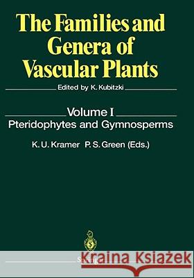 Pteridophytes and Gymnosperms  9783540517948 SPRINGER-VERLAG BERLIN AND HEIDELBERG GMBH &  - książka