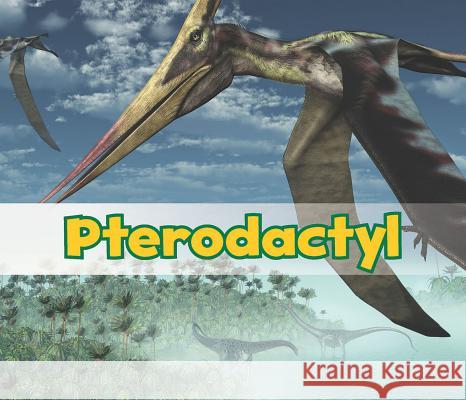 Pterodactyl Daniel Nunn 9781484602126 Acorn - książka