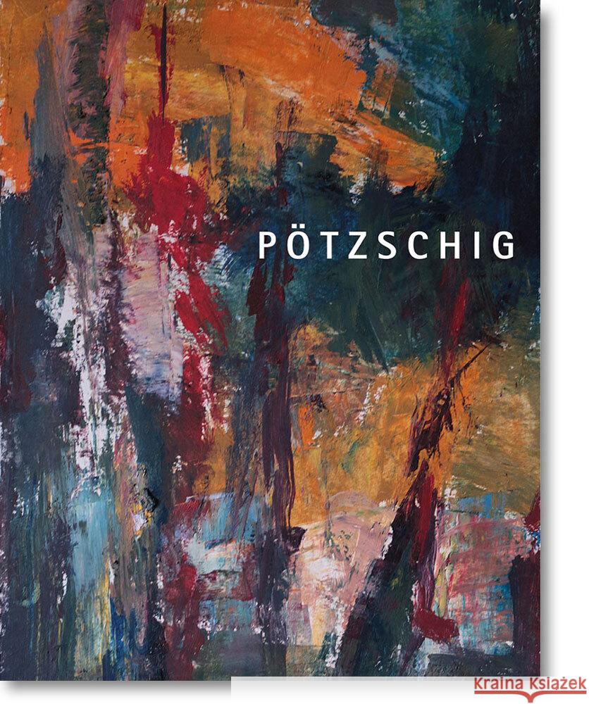 Pötzschig Hametner, Michael, Schmidt, Hans-Werner, Grüneberger, Ralph 9783954151370 Passage-Verlag - książka