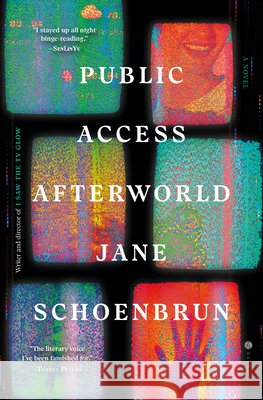 Public Access Afterworld Jane Schoenbrun 9780593978382 Hogarth Press - książka