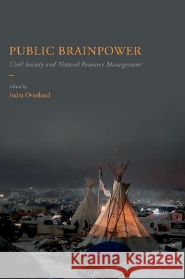 Public Brainpower: Civil Society and Natural Resource Management Overland, Indra 9783319606262 Palgrave MacMillan - książka