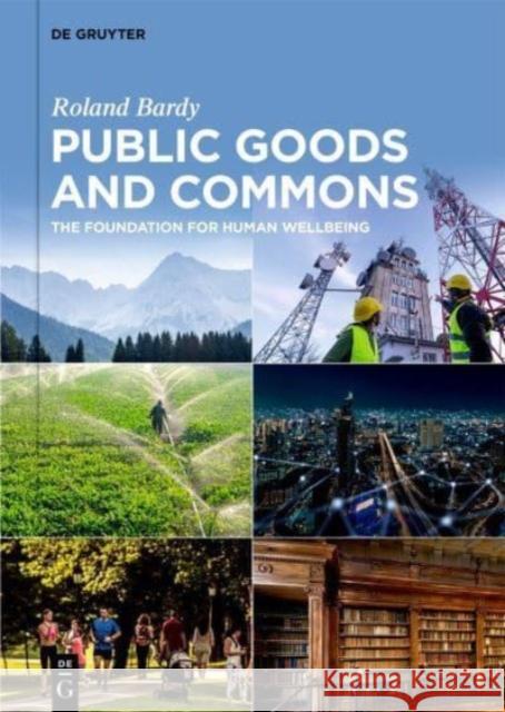 Public Goods and Commons Roland Bardy 9783111132525 De Gruyter - książka