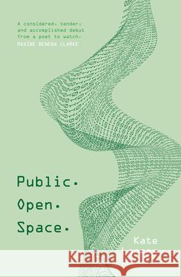 Public. Open. Space. Kate Larsen 9781760992163 Fremantle Press - książka