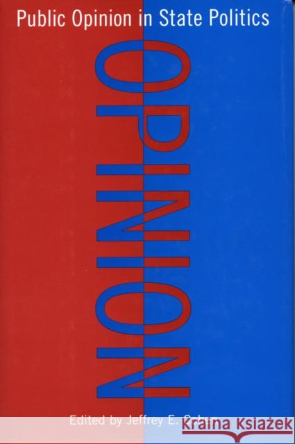 Public Opinion in State Politics Jeffrey E. Cohen 9780804753005 Stanford University Press - książka