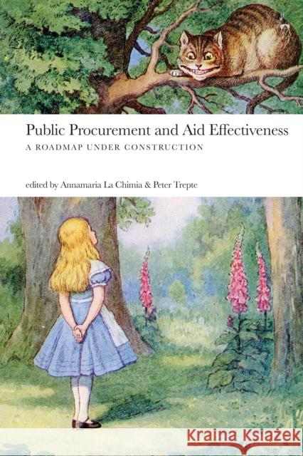 Public Procurement and Aid Effectiveness: A Roadmap Under Construction Annamaria La Chimia Peter Trepte 9781509922437 Hart Publishing - książka