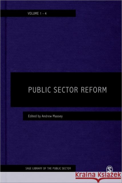 Public Sector Reform Andrew Massey 9781446240892  - książka