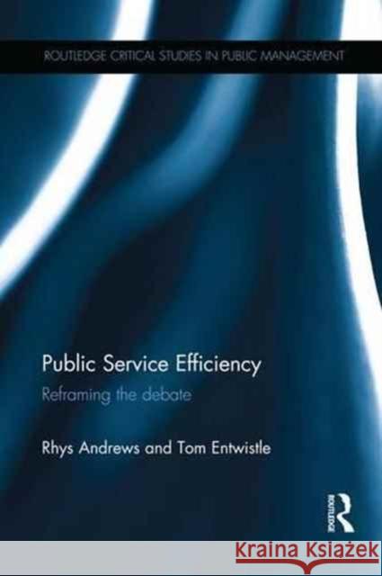 Public Service Efficiency: Reframing the Debate Rhys Andrews Tom Entwistle 9781138206120 Routledge - książka