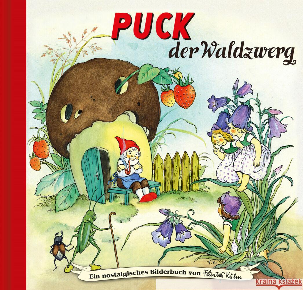 Puck der Waldzwerg Forster, Hilde 9783700445388 Breitschopf Medien - książka