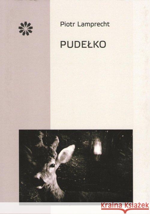 Pudełko Lamprecht Piotr 9788395078699 Stowarzyszenie Pisarzy Polskich - książka