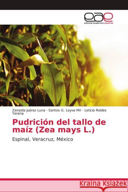 Pudrición del tallo de maíz (Zea mays L.) : Espinal, Veracruz, México Juárez Luna, Zenaida; Leyva Mir, Santos G.; Robles Yerena, Leticia 9786139402137 Editorial Académica Española - książka