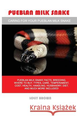 Pueblan Milk Snake: Pueblan Milk Snake facts, breeding, where to buy, types, care, temperament, cost, health, handling, husbandry, diet, a Brown, Lolly 9781946286352 Pack & Post Plus, LLC - książka