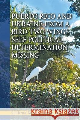 Puerto Rico and Ukraine from a Bird Two Wings- Self Political Determination Missing Guillermo González Román 9781669834366 Xlibris Us - książka