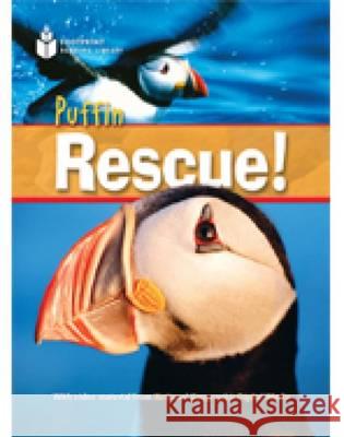 Puffin Rescue! Rob Waring 9781424010721 National Geographic Learning - książka