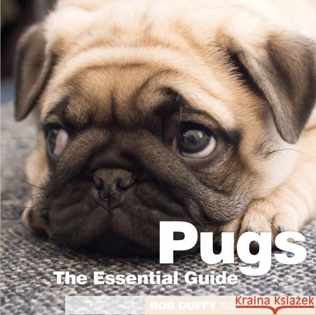 Pugs Robert Duffy 9781910843420 BX Plans Ltd - książka