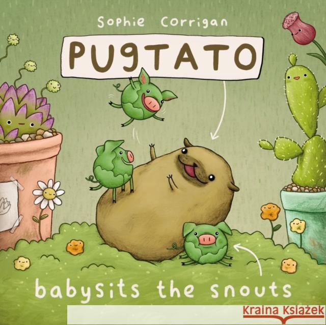 Pugtato Babysits the Snouts Sophie Corrigan 9780310734116 Zondervan - książka