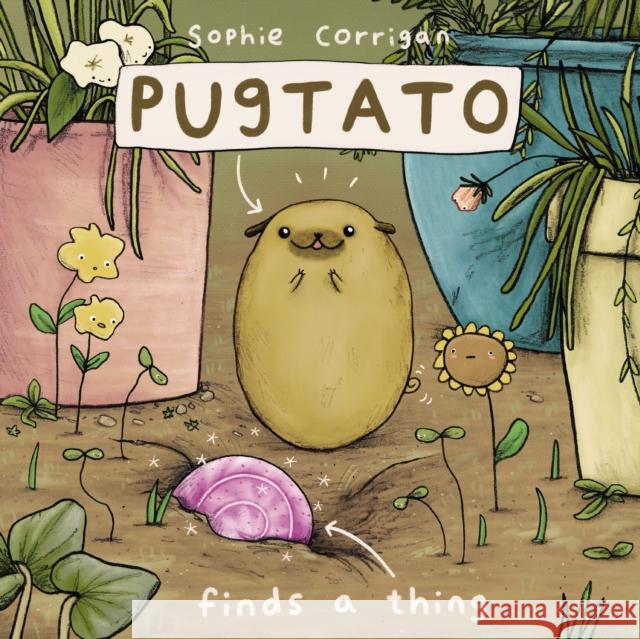 Pugtato Finds a Thing Sophie Corrigan Zondervan 9780310767817 Zonderkidz - książka