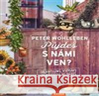 Půjdeš s námi ven? Stefanie Reich 9788076700215 Nakladatelství Kazda - książka