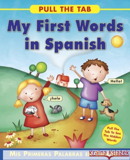 Pull the Tab: My First Words in Spanish Delany Sally 9781843229179 Armadillo Music - książka